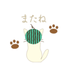 Watermelon cat（個別スタンプ：8）
