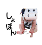 おもちbaby（個別スタンプ：15）