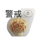 二字熟語かい？（個別スタンプ：4）