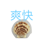 二字熟語かい？（個別スタンプ：8）