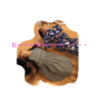 愛娘息子（個別スタンプ：8）