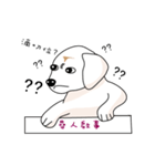 Tudou's daily life in SA（個別スタンプ：16）