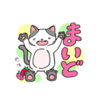 ねこといちごの日常スタンプ（個別スタンプ：9）