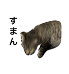 猫のガブリエル（個別スタンプ：13）