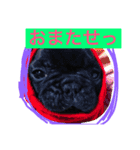 ふぁーふぁー（個別スタンプ：1）