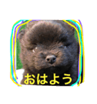 ふぁーふぁー（個別スタンプ：2）