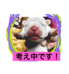 ふぁーふぁー（個別スタンプ：3）