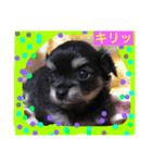 ふぁーふぁー（個別スタンプ：5）