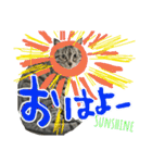 使えるネコスタンプできたんす。（個別スタンプ：19）