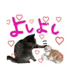使えるネコスタンプできたんす。（個別スタンプ：32）