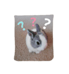 レア（個別スタンプ：7）
