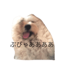 あんちゃりり（個別スタンプ：1）