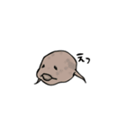 ハイギョの仲間（個別スタンプ：6）