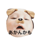 Joeだよ！（個別スタンプ：10）