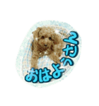 プリティーシェリーその2（個別スタンプ：1）