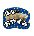 プリティーシェリーその2（個別スタンプ：2）