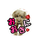 プリティーシェリーその2（個別スタンプ：3）