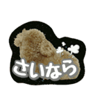 プリティーシェリーその2（個別スタンプ：4）