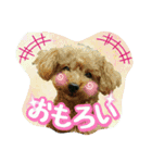 プリティーシェリーその2（個別スタンプ：5）