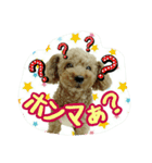 プリティーシェリーその2（個別スタンプ：8）