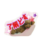 プリティーシェリーその2（個別スタンプ：10）