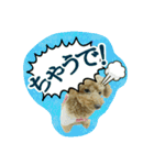 プリティーシェリーその2（個別スタンプ：11）