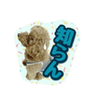 プリティーシェリーその2（個別スタンプ：12）
