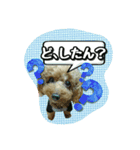 プリティーシェリーその2（個別スタンプ：13）