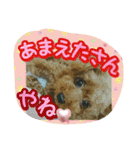 プリティーシェリーその2（個別スタンプ：14）
