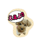 プリティーシェリーその2（個別スタンプ：17）
