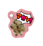 プリティーシェリーその2（個別スタンプ：18）