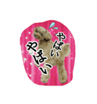 プリティーシェリーその2（個別スタンプ：20）