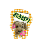 プリティーシェリーその2（個別スタンプ：21）