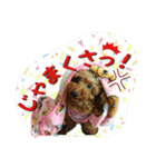 プリティーシェリーその2（個別スタンプ：23）