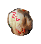 ねこは正義（個別スタンプ：1）