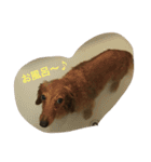 ひな＆さな（個別スタンプ：5）