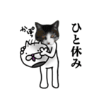 ねこっぽいの 3（個別スタンプ：23）
