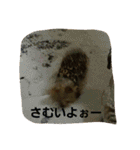 ヨーキのなな 1（個別スタンプ：18）