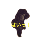 SORA＆RIKU（個別スタンプ：2）