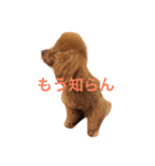 SORA＆RIKU（個別スタンプ：5）