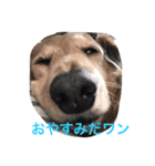 ショコラの一日（個別スタンプ：5）