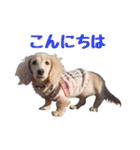 蛍光灯姉妹（個別スタンプ：3）