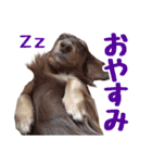 蛍光灯姉妹（個別スタンプ：5）