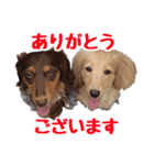 蛍光灯姉妹（個別スタンプ：8）
