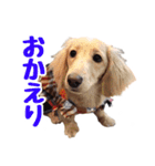 蛍光灯姉妹（個別スタンプ：11）
