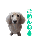 蛍光灯姉妹（個別スタンプ：14）
