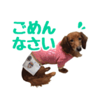 蛍光灯姉妹（個別スタンプ：15）
