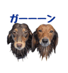 蛍光灯姉妹（個別スタンプ：20）