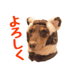 蛍光灯姉妹（個別スタンプ：21）