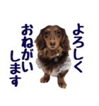 蛍光灯姉妹（個別スタンプ：22）